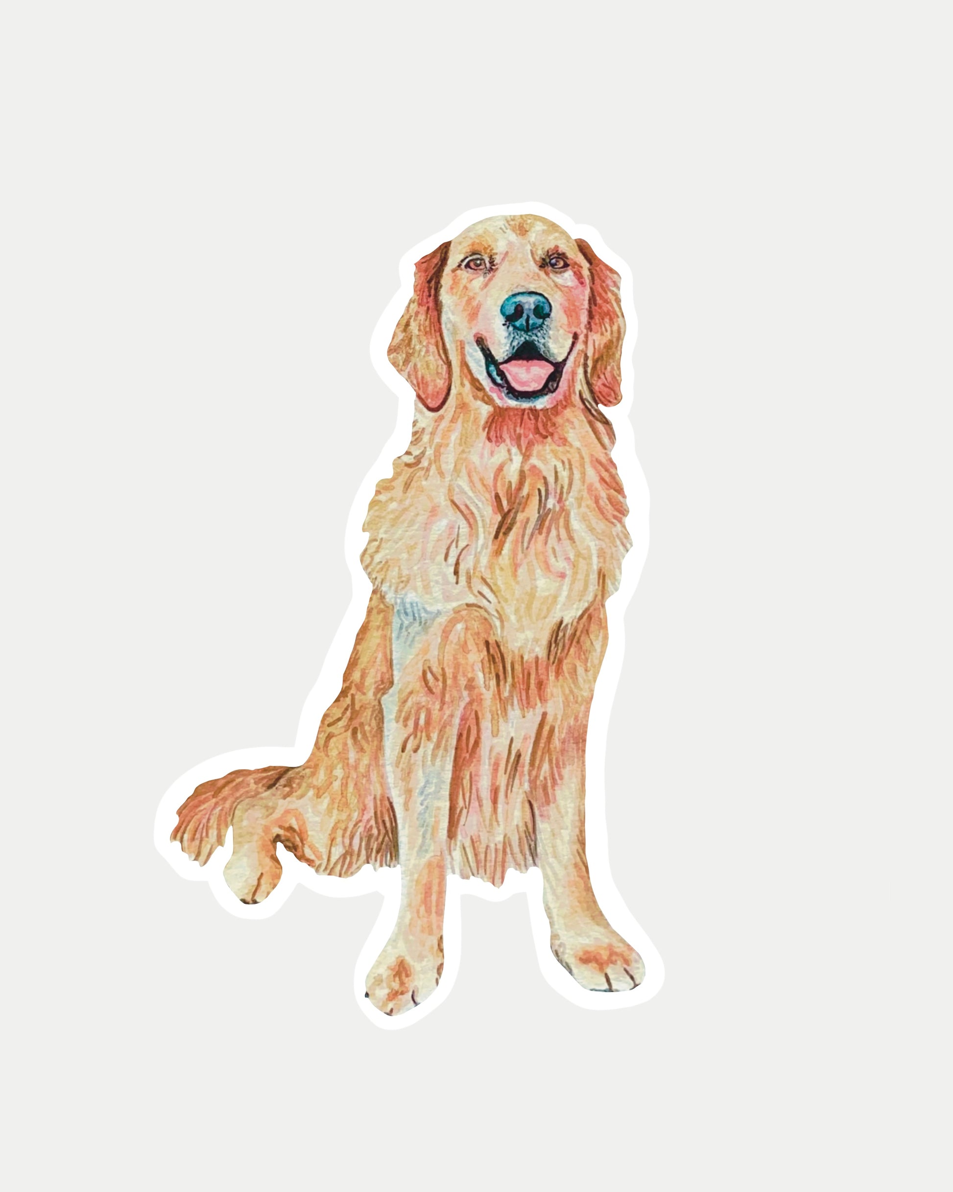 Golden retriever sticker on a white background