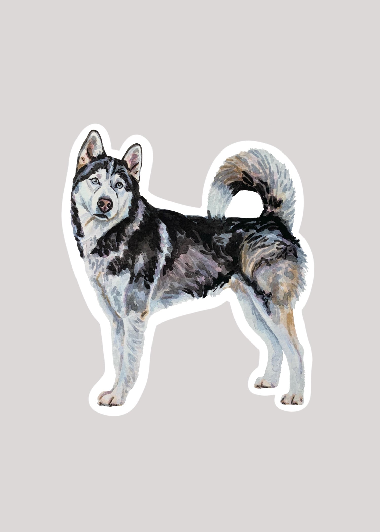 Sticker of a husky dog on a gray background