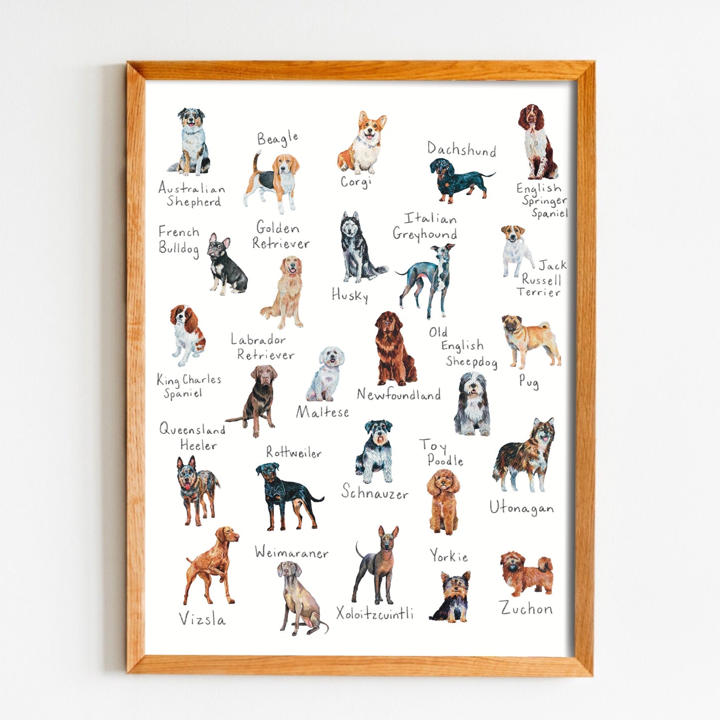 A-Z Dog Breed Print