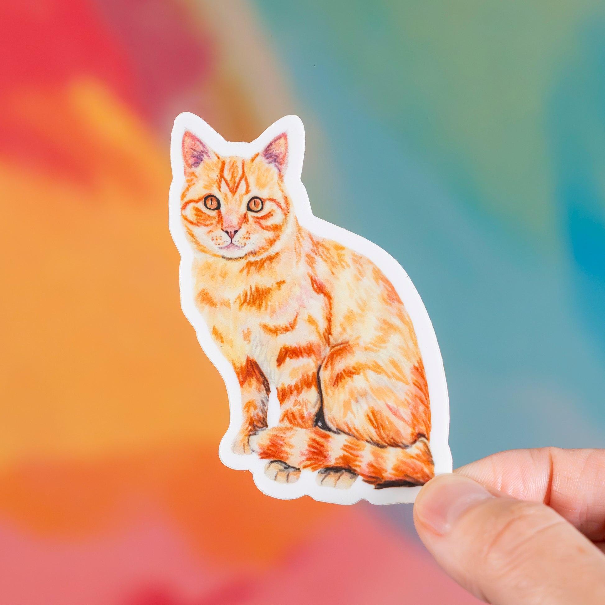 Sticker of an orange tabby cat held by a hand with a colorful blurred background