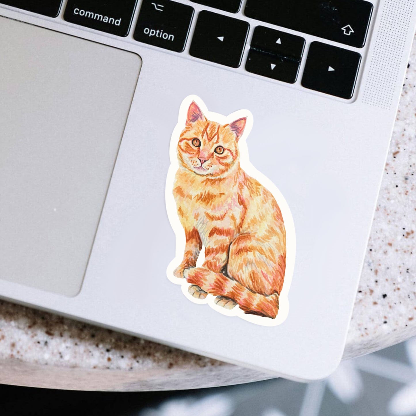 Orange cat sticker on a laptop