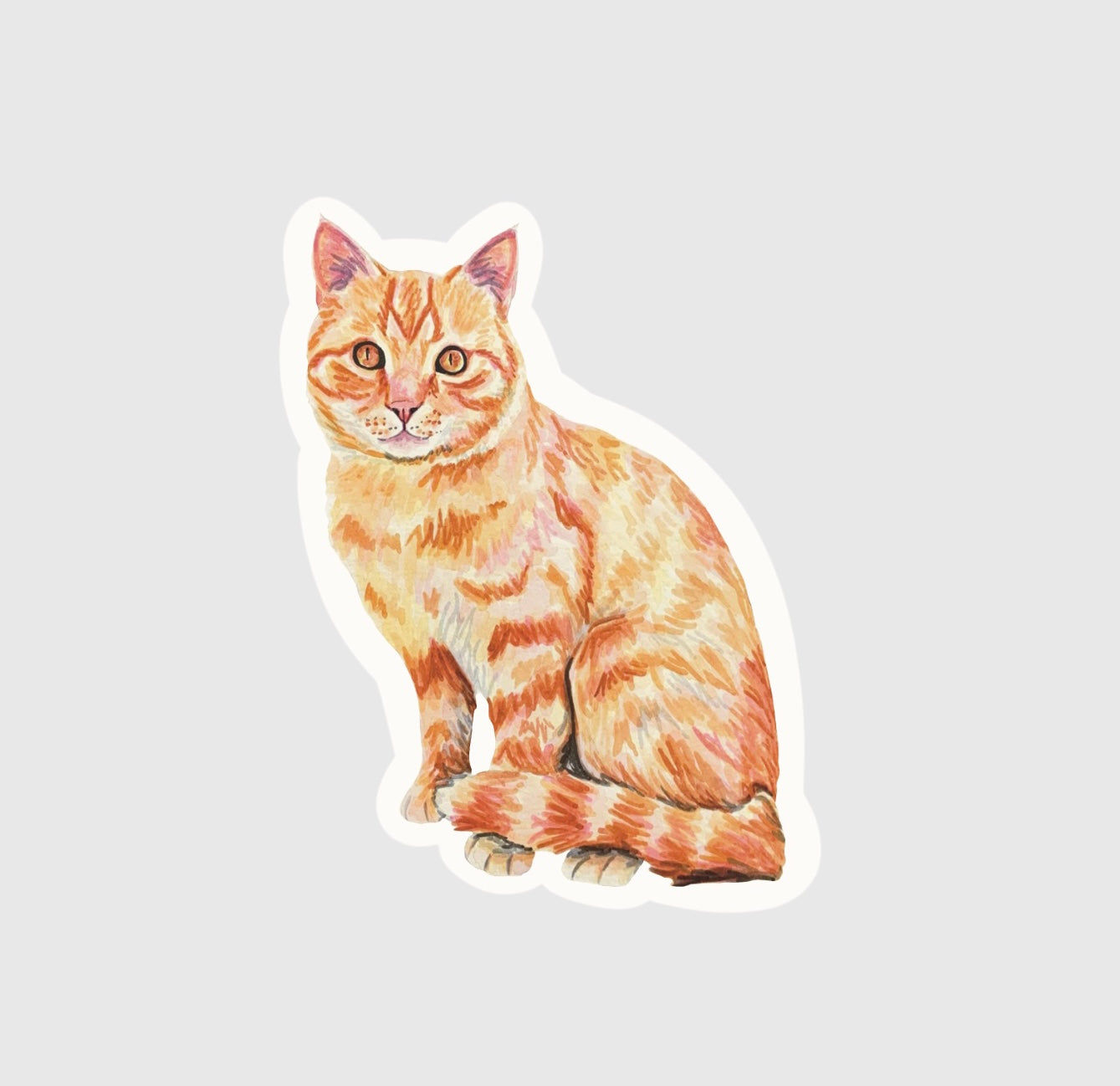 Orange cat sticker on a gray background