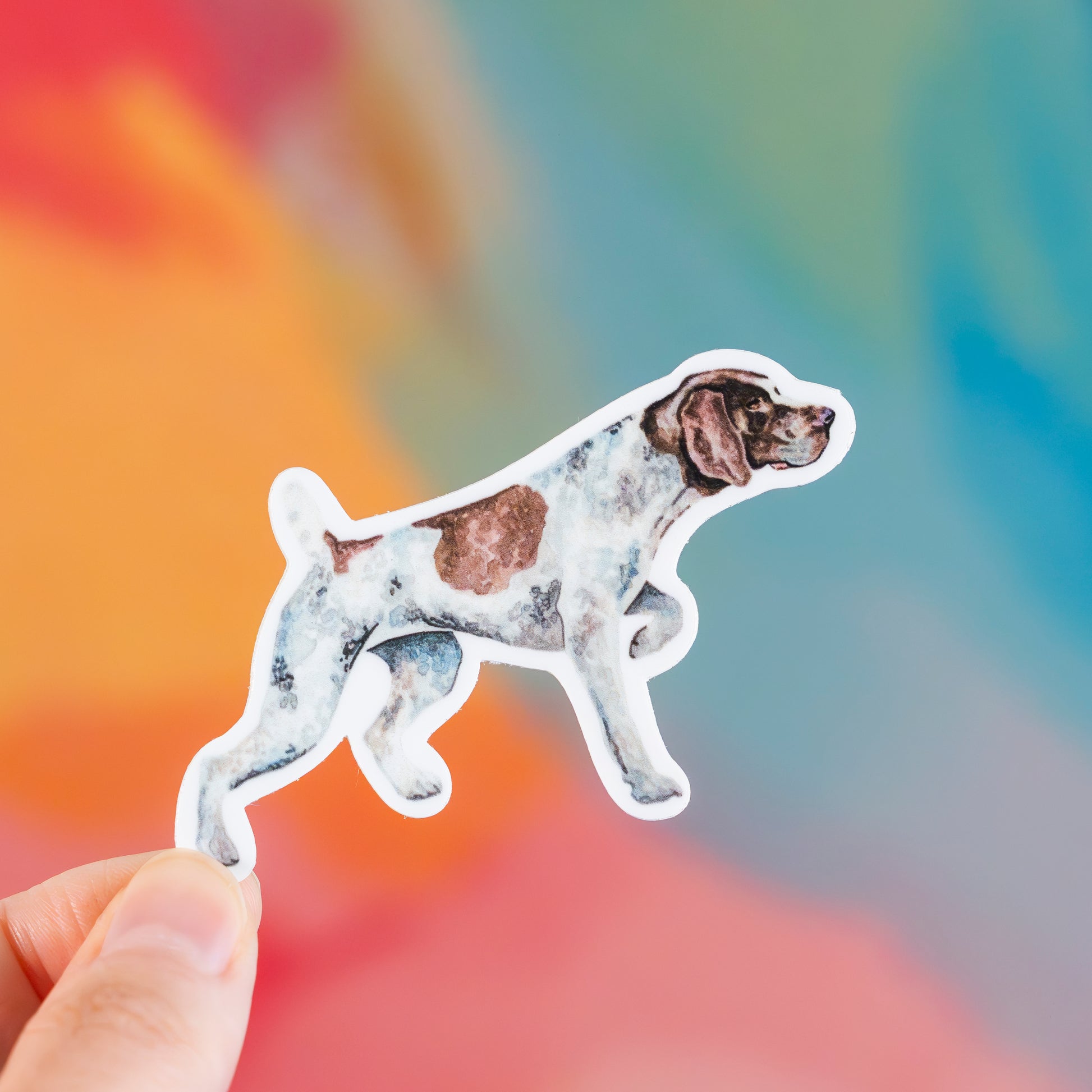 Sticker of a pointer dog held against a colorful blurred background