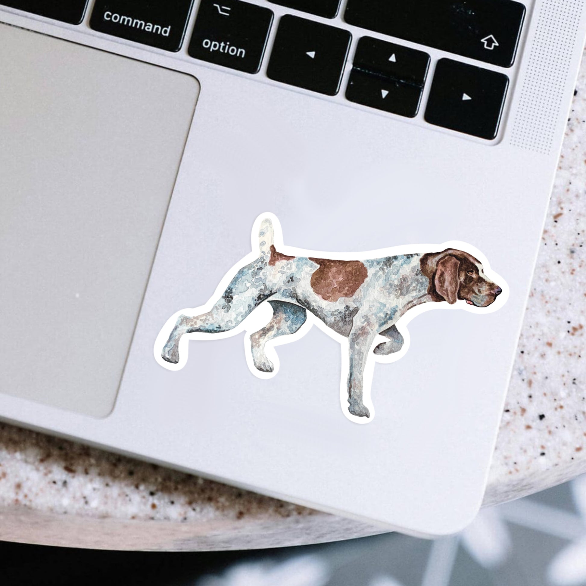 German shorthaired pointer sticker on a laptop