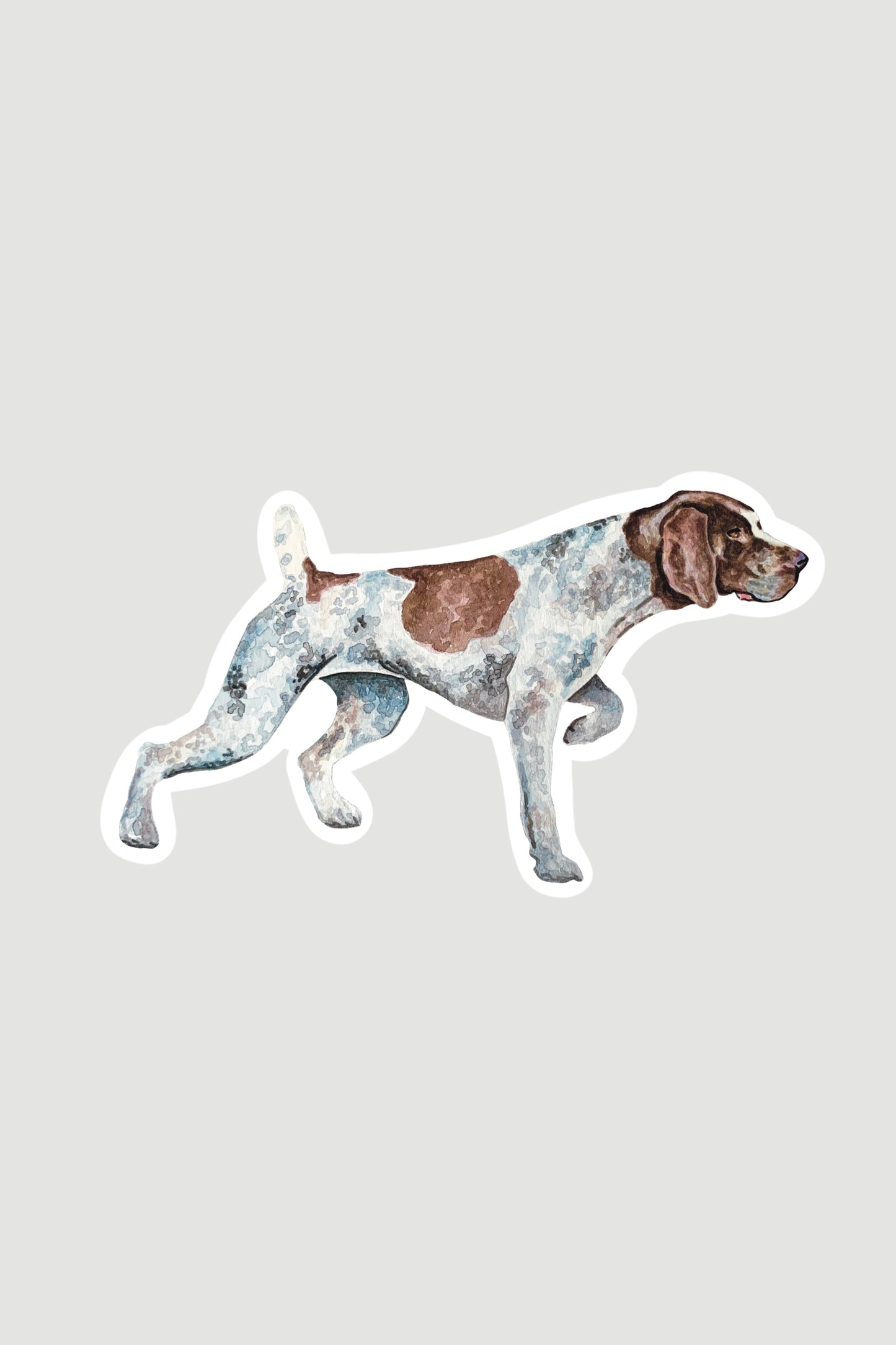 Sticker of a German shorthaired pointer dog on a gray background