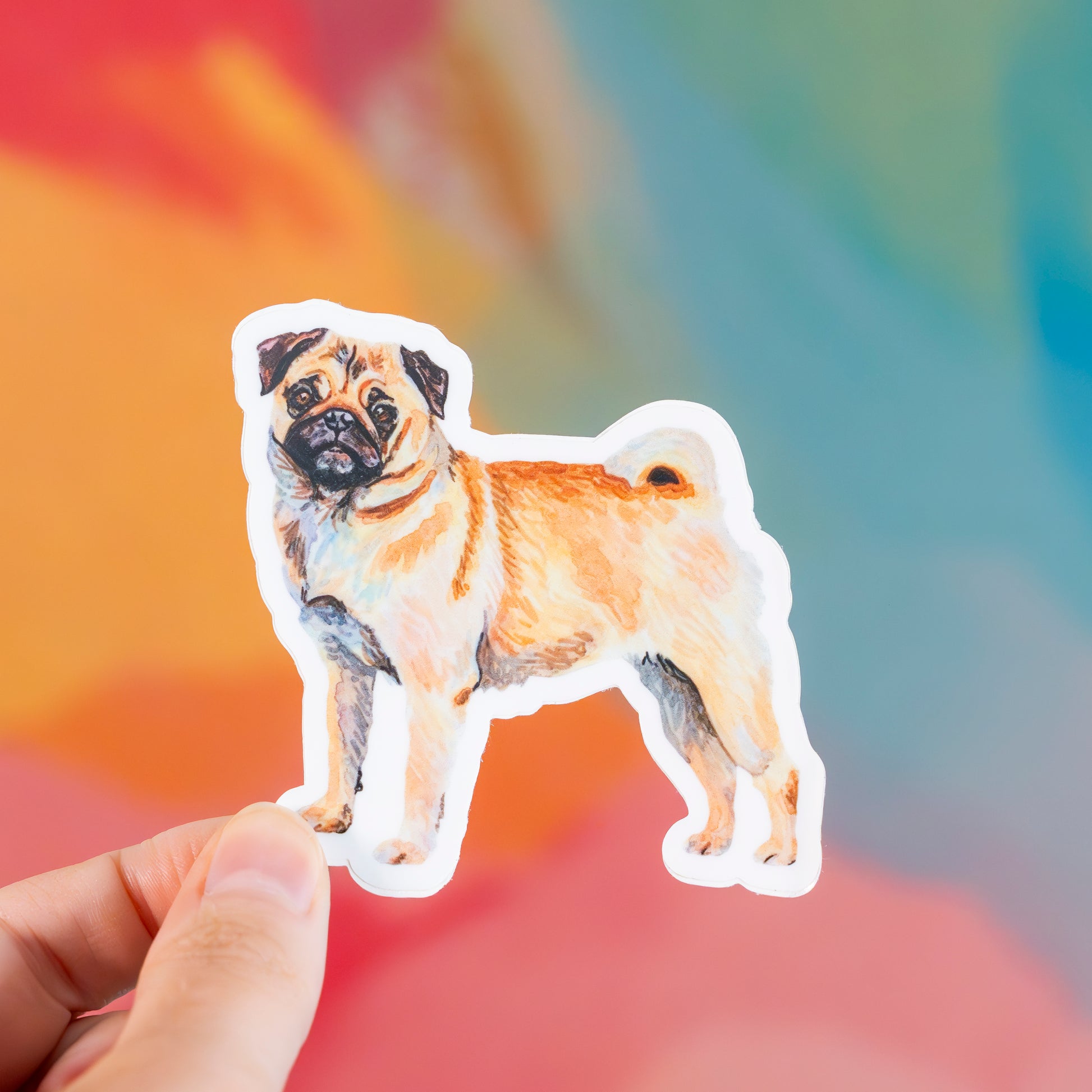 Sticker of a pug held by a hand with a colorful blurred background