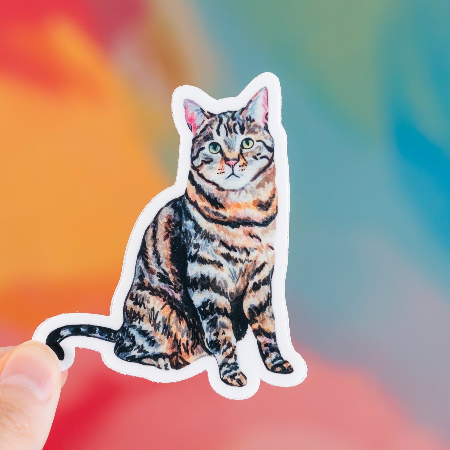 Sticker of a tabby cat held against a colorful background