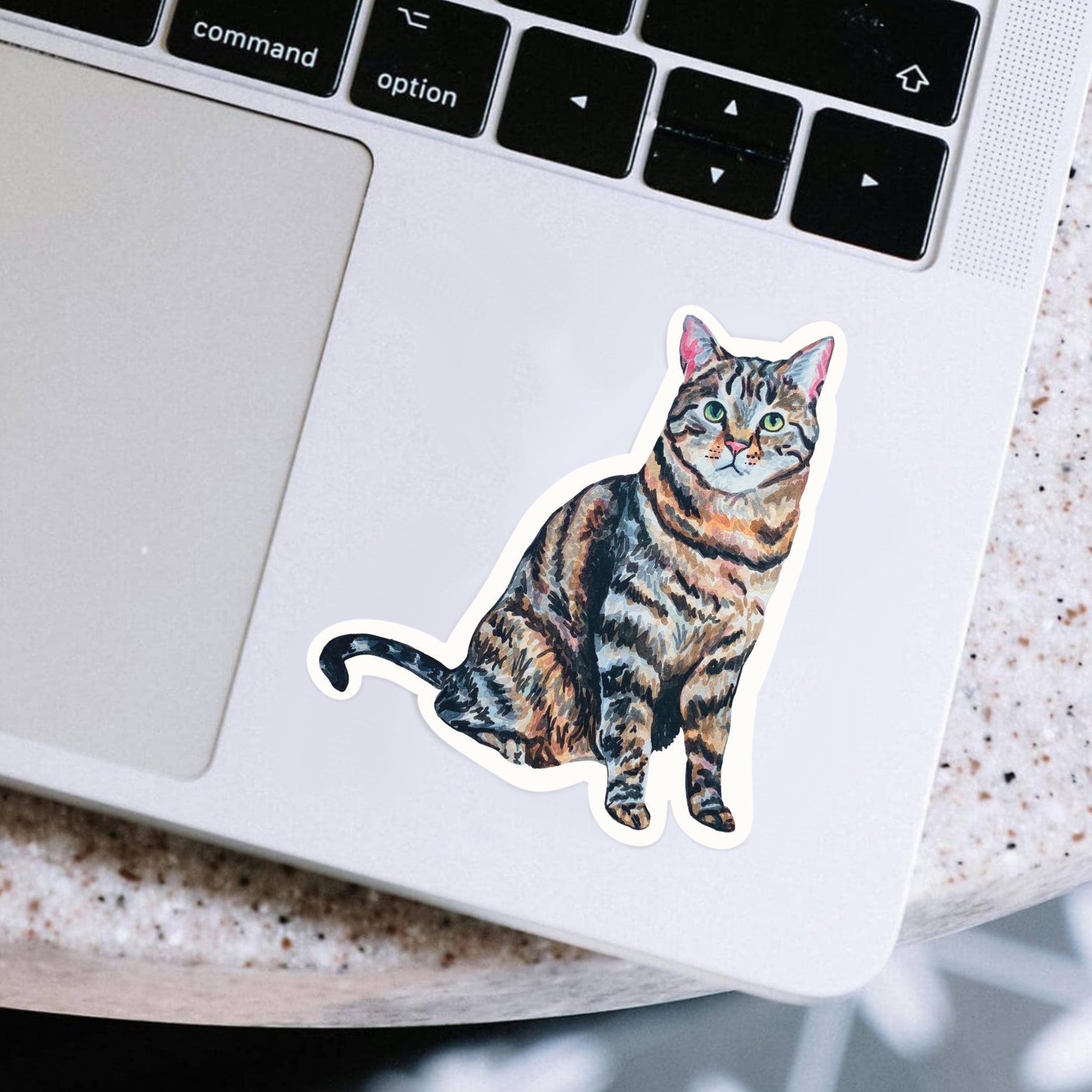 Tabby cat sticker on a laptop
