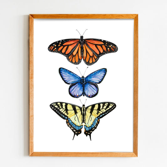 Framed artwork of three butterflies on a white background