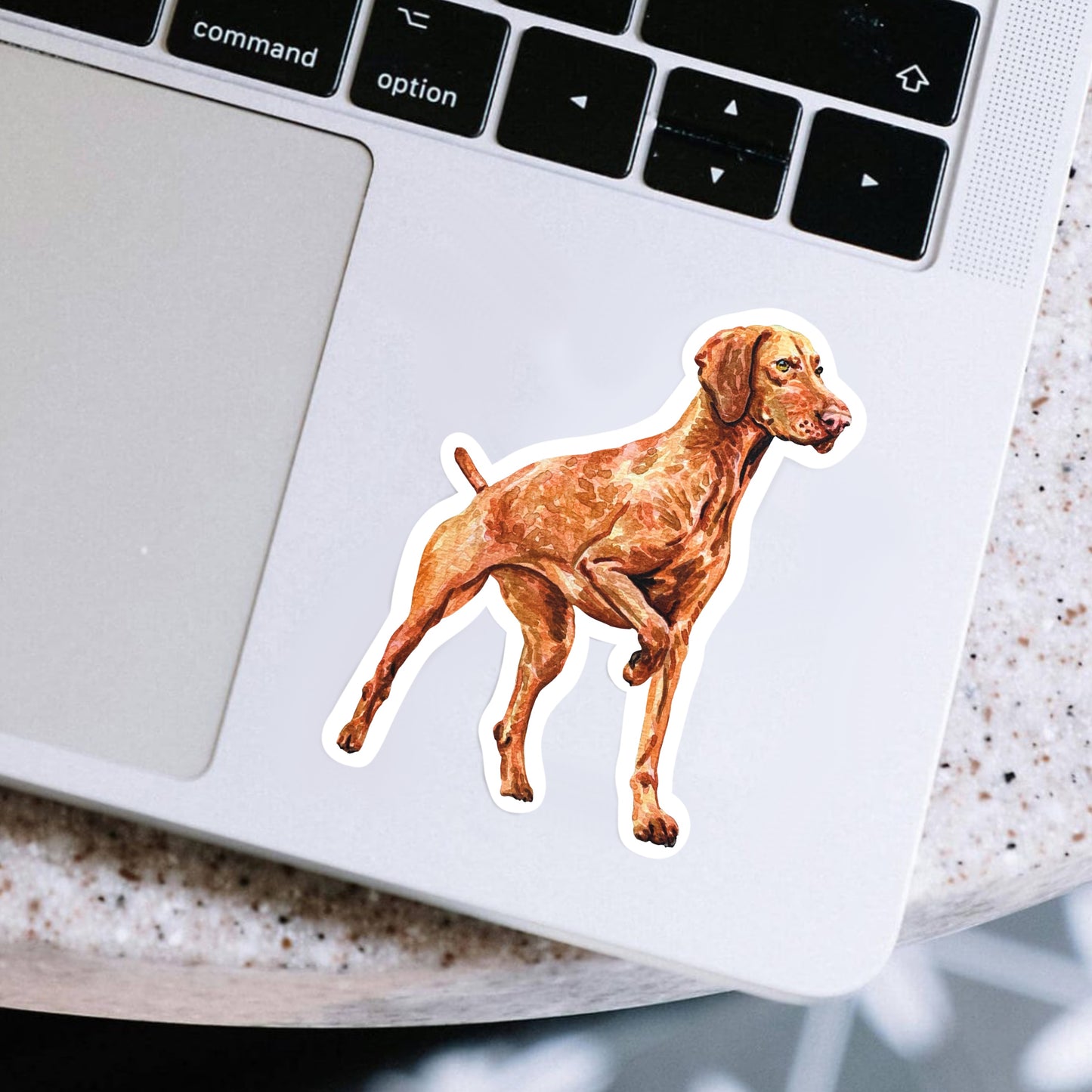 Vizsla dog sticker on a laptop 