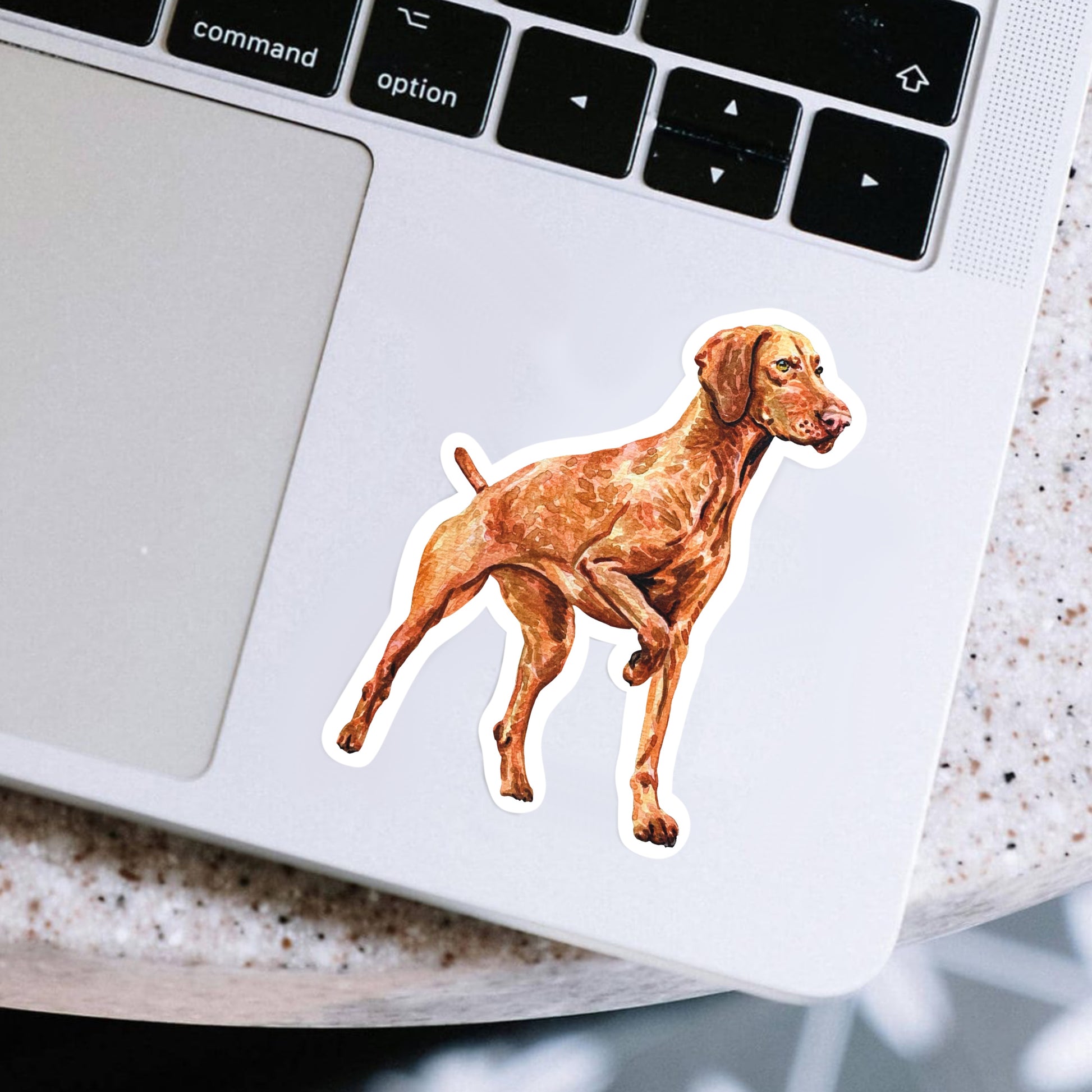 Vizsla dog sticker on a laptop 