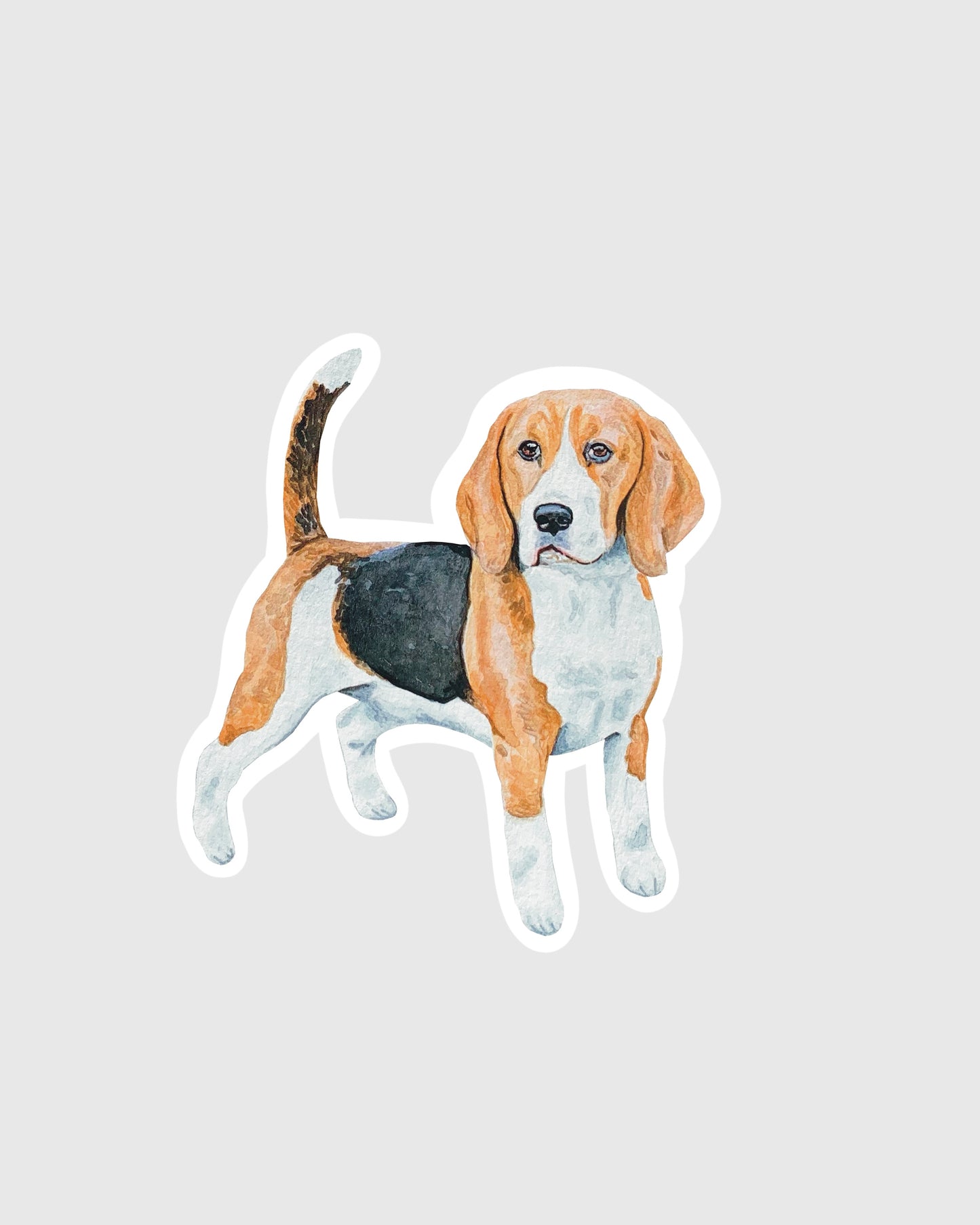 Beagle Sticker