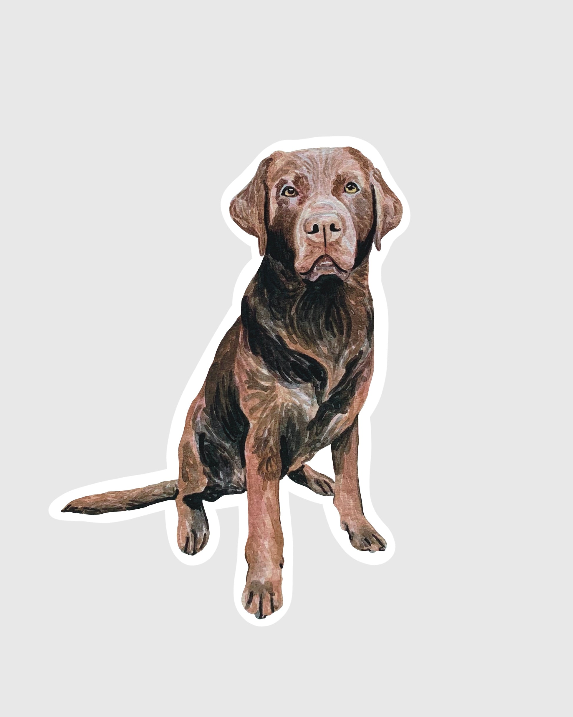 Chocolate lab sticker on a gray background