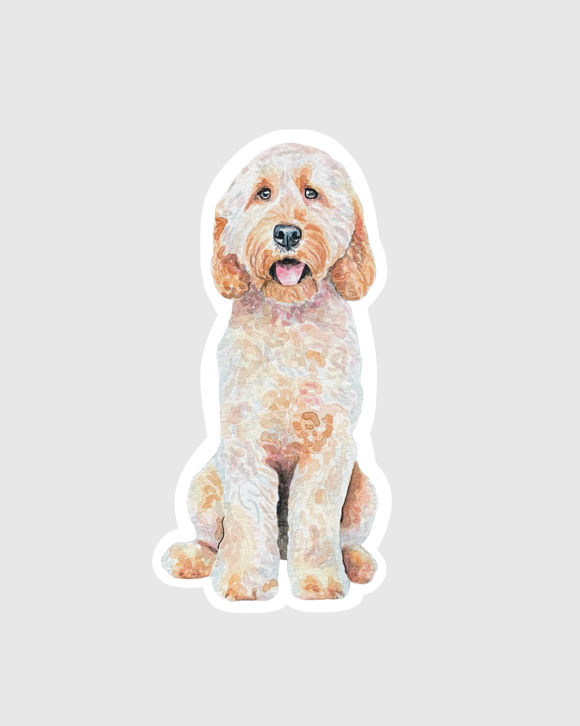 Labradoodle sticker on a gray background